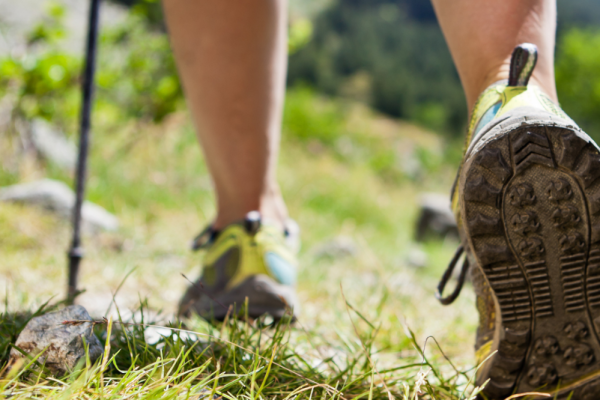 Vom Walking zum Nordic-Walking