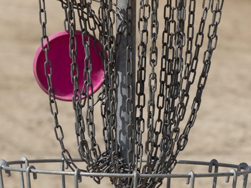 ERÖFFNUNGSTAG: Disc-Golf mit Schwung ins Ziel