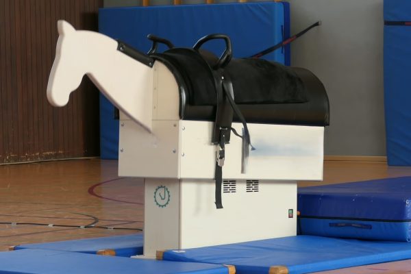 Voltigieren zum Ausprobieren – Mitmachspaß auf dem "Holzpferd MOVIE"