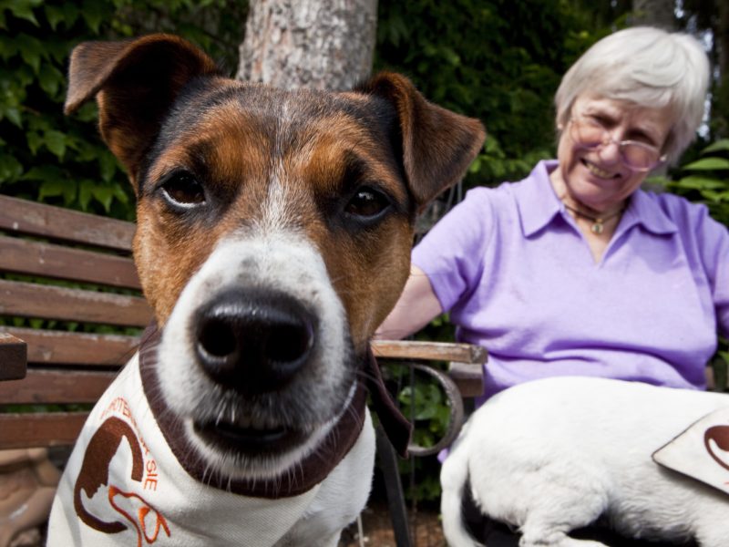 Alzheimerprogramm: „4 PFOTEN FÜR SIE“ - Ein Hundebesuchsdienst für Menschen mit Demenz stellt sich vor!
