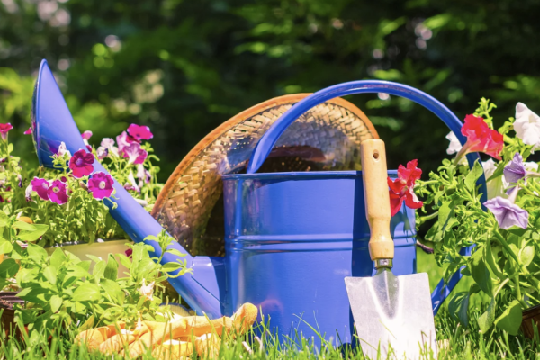 Gartentreff Hammfeldhof - Frühling