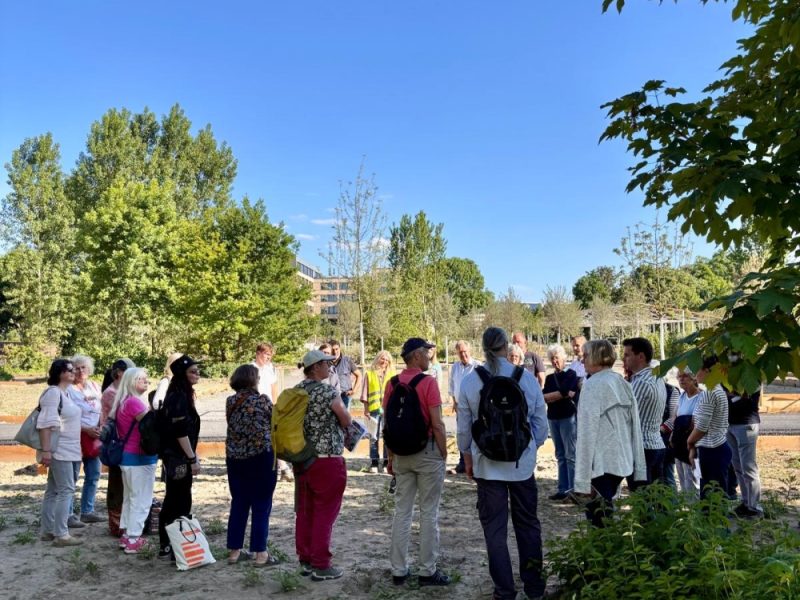 GRÜNES HERZ Gruppen-Treffen Natur & Nachhaltigkeit