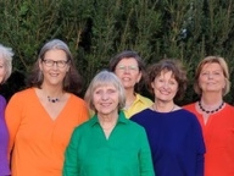 Acapell-Konzert im Grünen