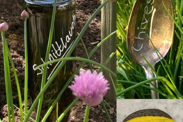 Upcycling Workshop - Garten Stecker gestalten